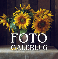 FOTO GALERIJ 6