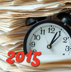 Het jaar 2015