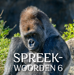 SPREEKWOORDEN 6